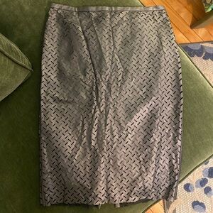 NWT LORD & TAYLOR SKIRT